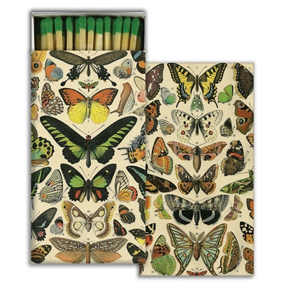 Matches - Butterfly Specimens - Matches by Carlyle Avenue