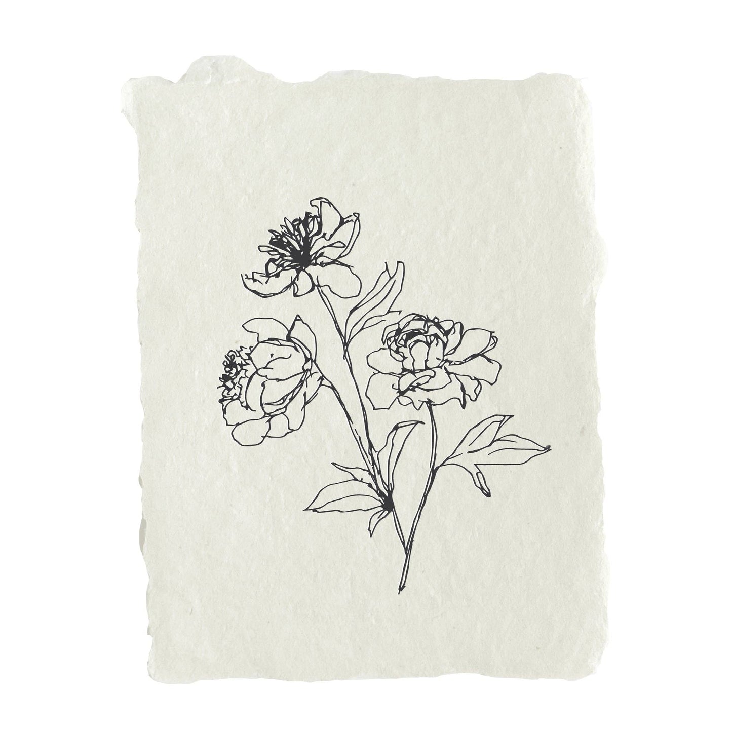 Peony stems note card - by Carlyle Avenue