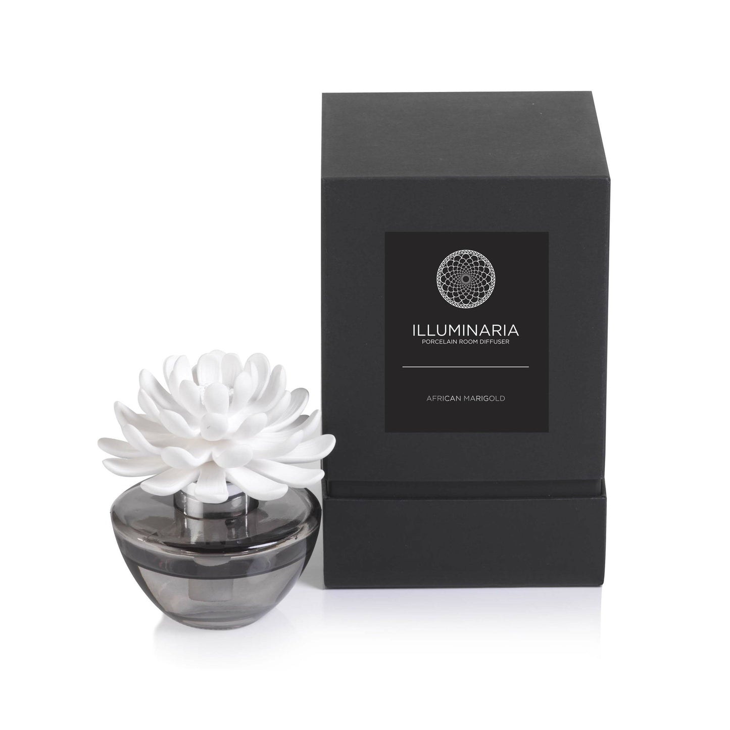 Illuminaria Porcelain Diffuser in Gray Bottle - REFILL - Set of 6 - Diffusers by Carlyle Avenue