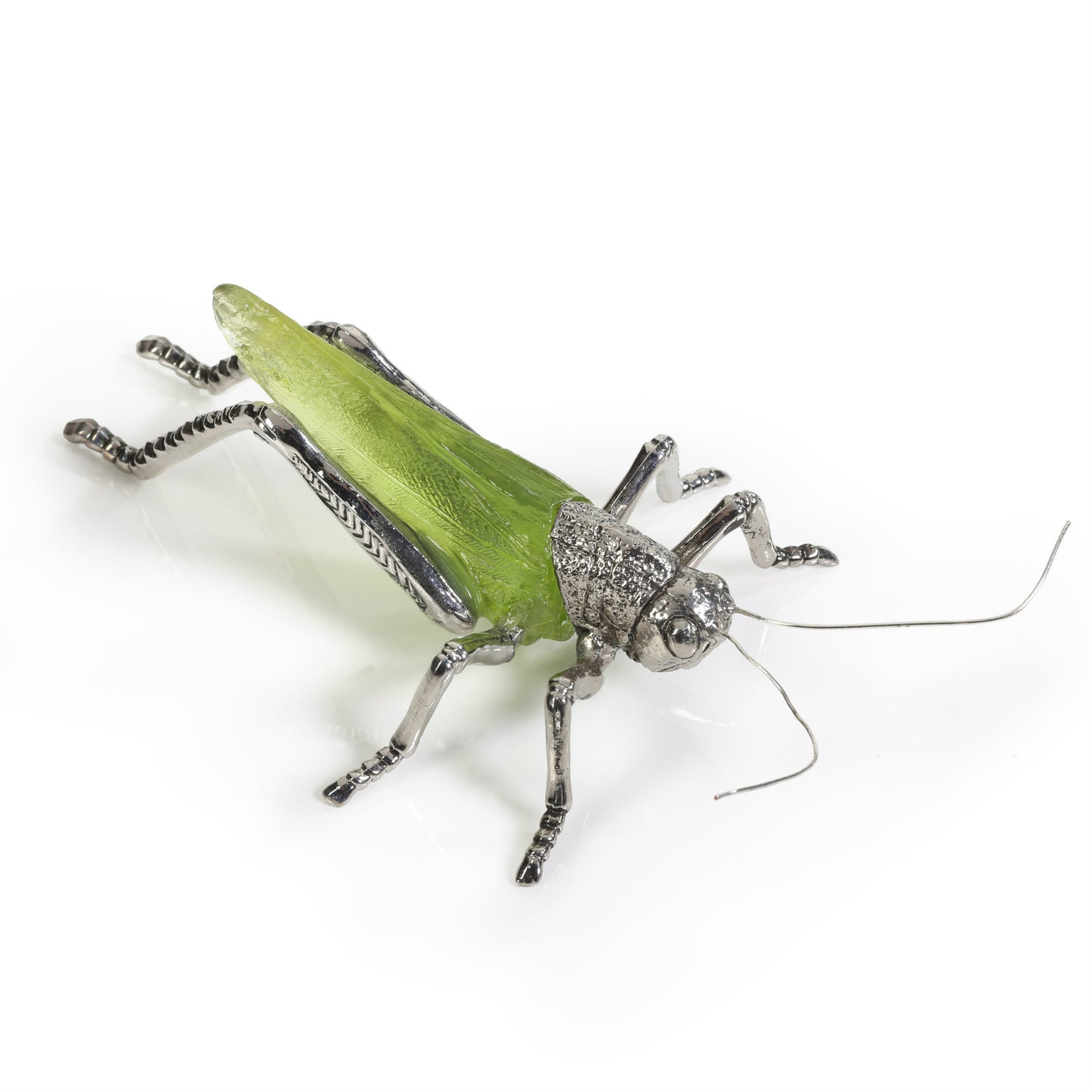 Decorative Grasshopper and Ladybug - Decorative Accessories by Carlyle Avenue