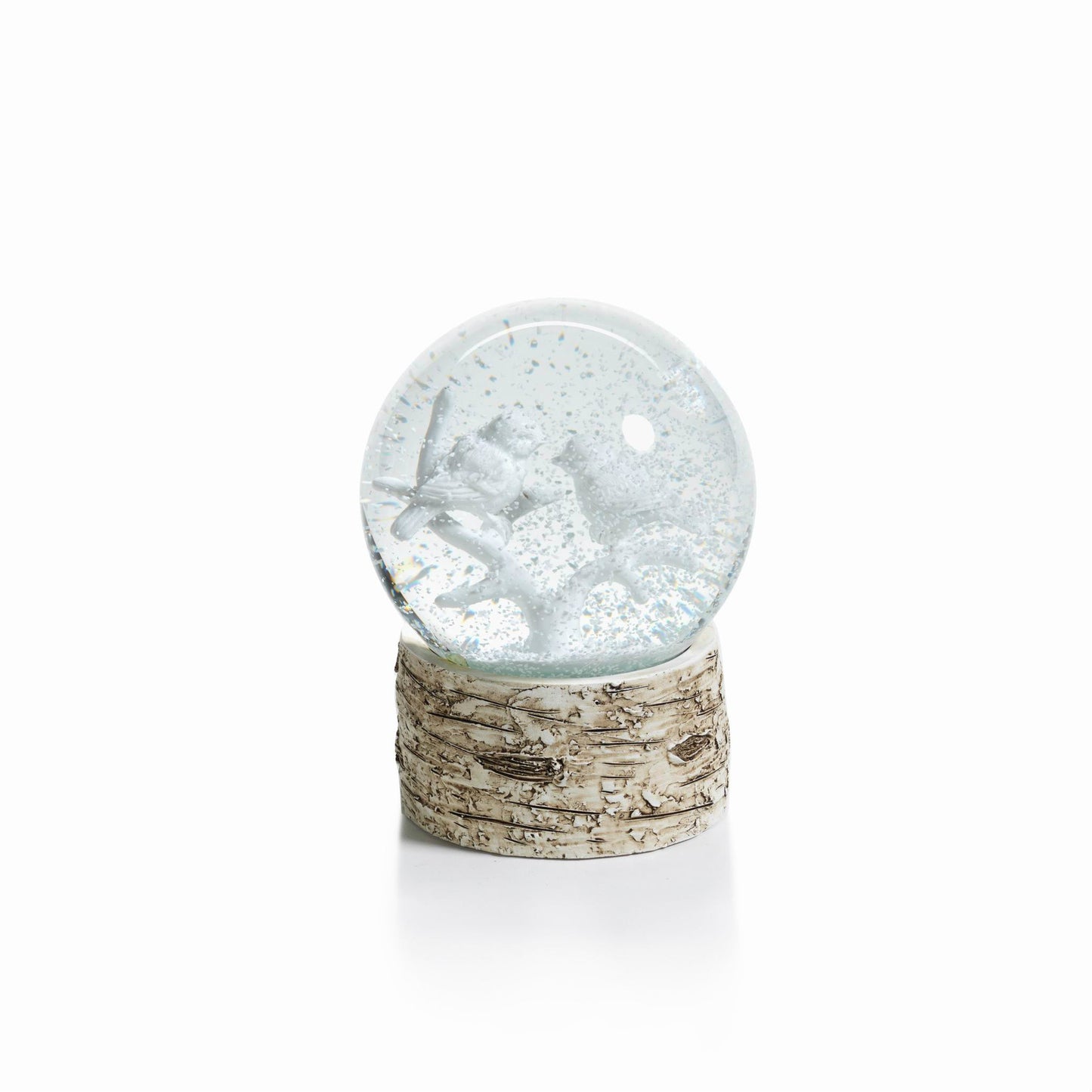 Snow Globe on Birch - Snow Globes by Carlyle Avenue