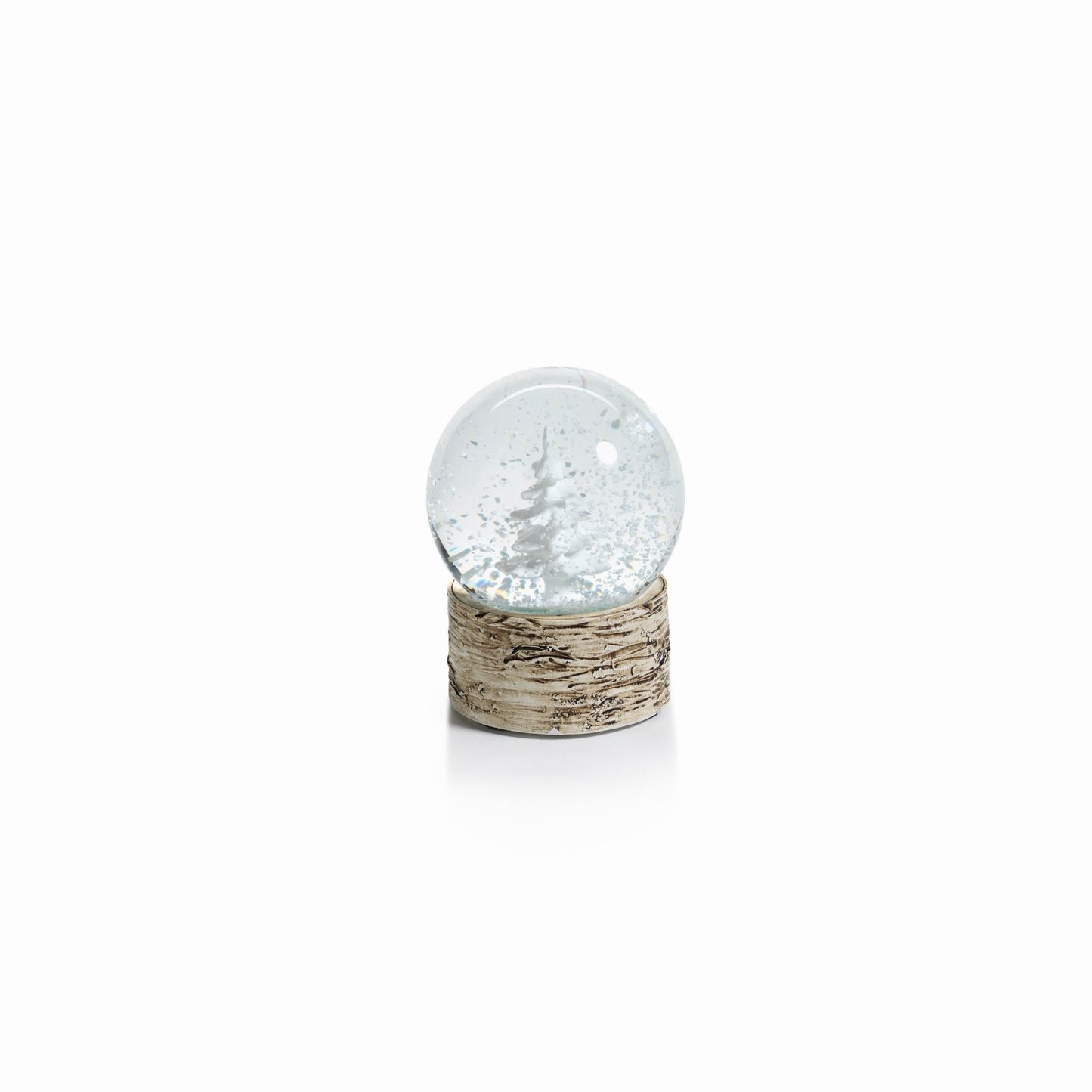 Snow Globe on Birch with Tree - Snow Globes by Carlyle Avenue