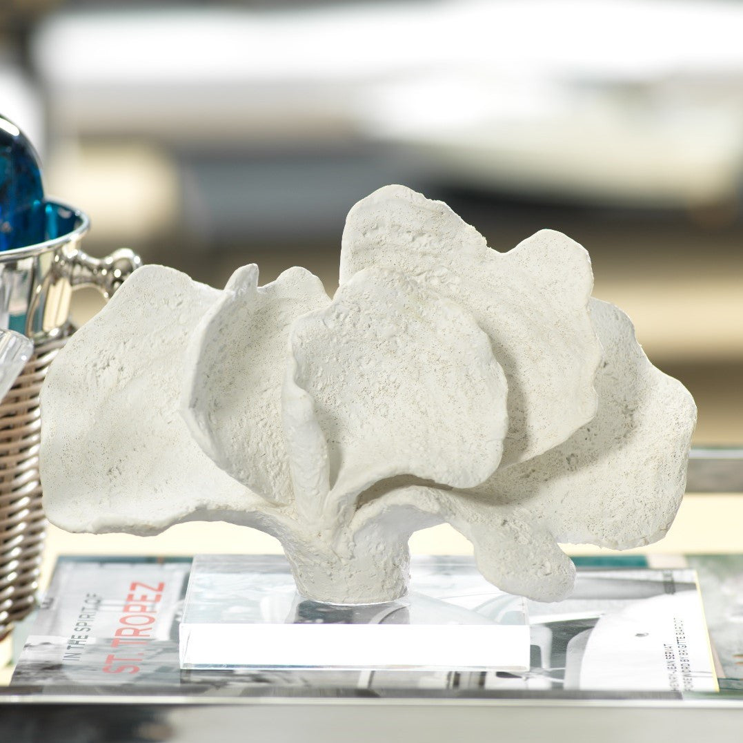 White Coron Coral on Acrylic Base - Decorative Accessories by Carlyle Avenue
