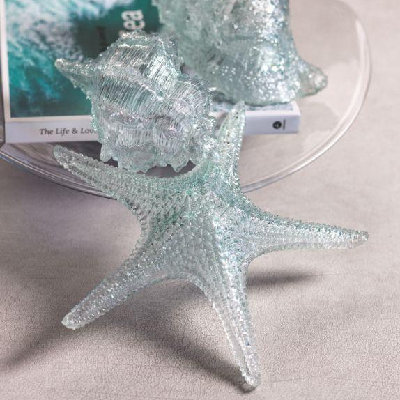 Cayo Decorative Conch Shell and Starfish - Decorative Accessories by Carlyle Avenue