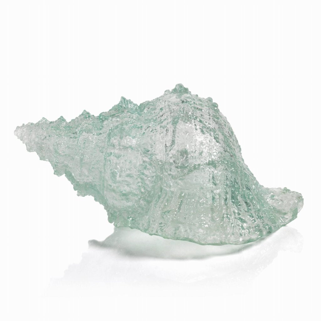 Cayo Decorative Conch Shell and Starfish - Decorative Accessories by Carlyle Avenue