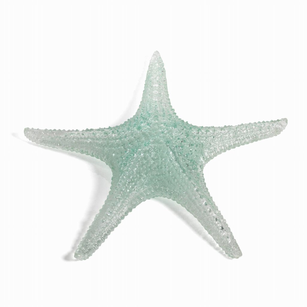 Cayo Decorative Conch Shell and Starfish - Decorative Accessories by Carlyle Avenue