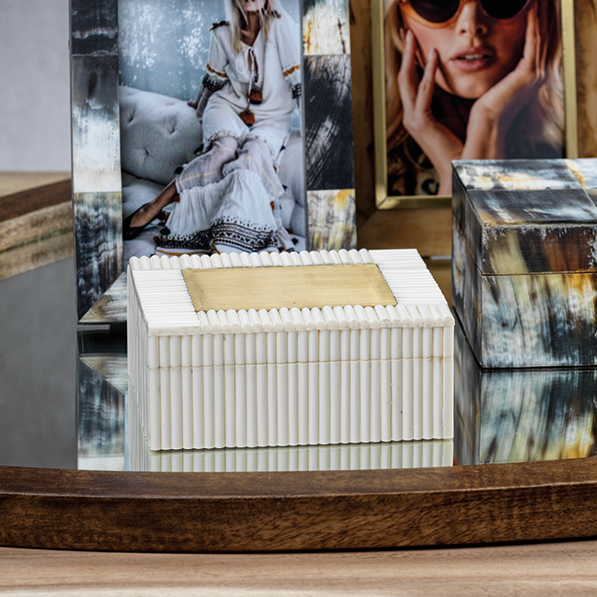 White Bone Chips and Brass Box - Decorative Accessories by Carlyle Avenue