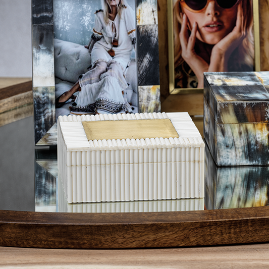 White Bone Chips and Brass Box - Decorative Accessories by Carlyle Avenue