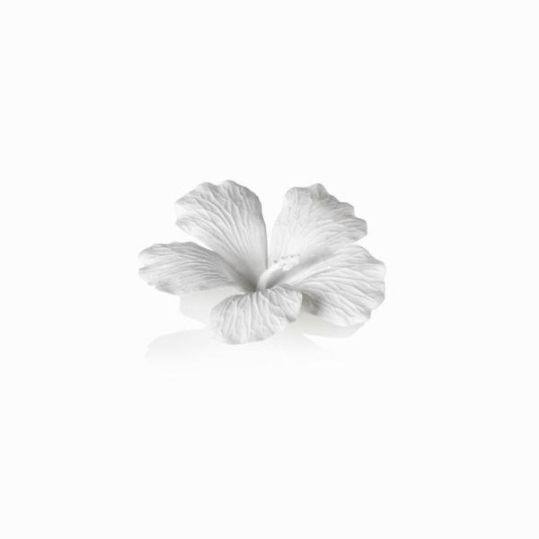 White Bone China Hibiscus Flower Wall & Table Décor - Decorative Accessories by Carlyle Avenue