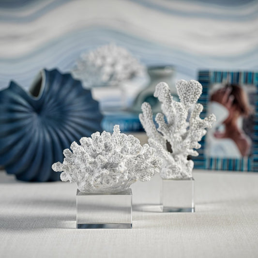 White Coral on Acrylic Base - Decorative Accessories by Carlyle Avenue