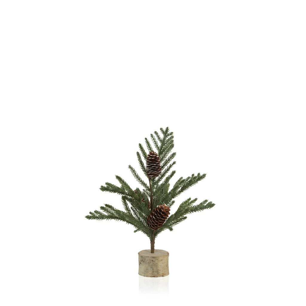 Spruce Tree with Small Pine Cones on Birch Base - Seasonal & Holiday Decorations by Carlyle Avenue