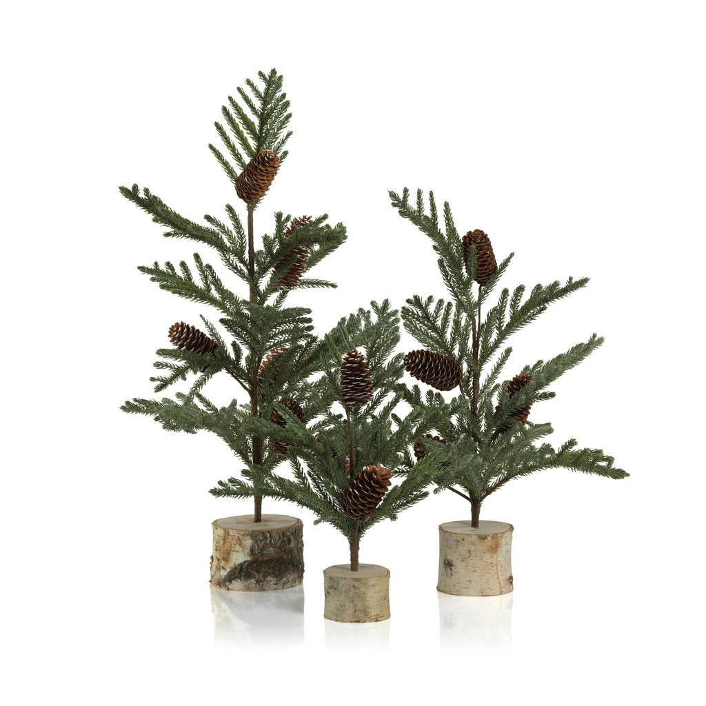Spruce Tree with Small Pine Cones on Birch Base - Seasonal & Holiday Decorations by Carlyle Avenue
