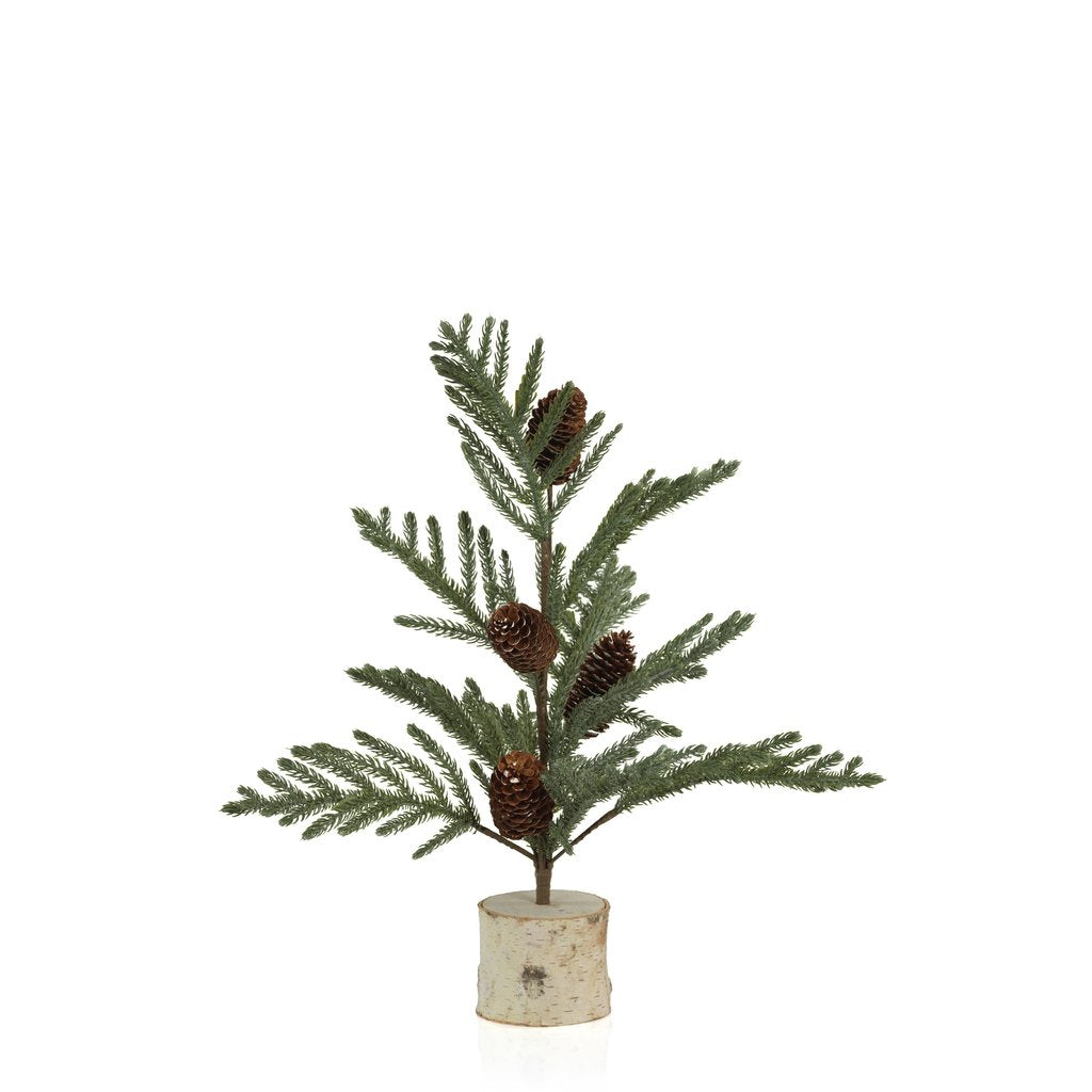 Spruce Tree with Small Pine Cones on Birch Base - Seasonal & Holiday Decorations by Carlyle Avenue