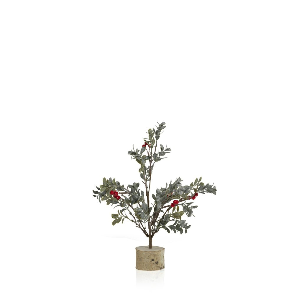 Frosted Mistletoe Tree w/Red Berries on Birch Base - Seasonal & Holiday Decorations by Carlyle Avenue