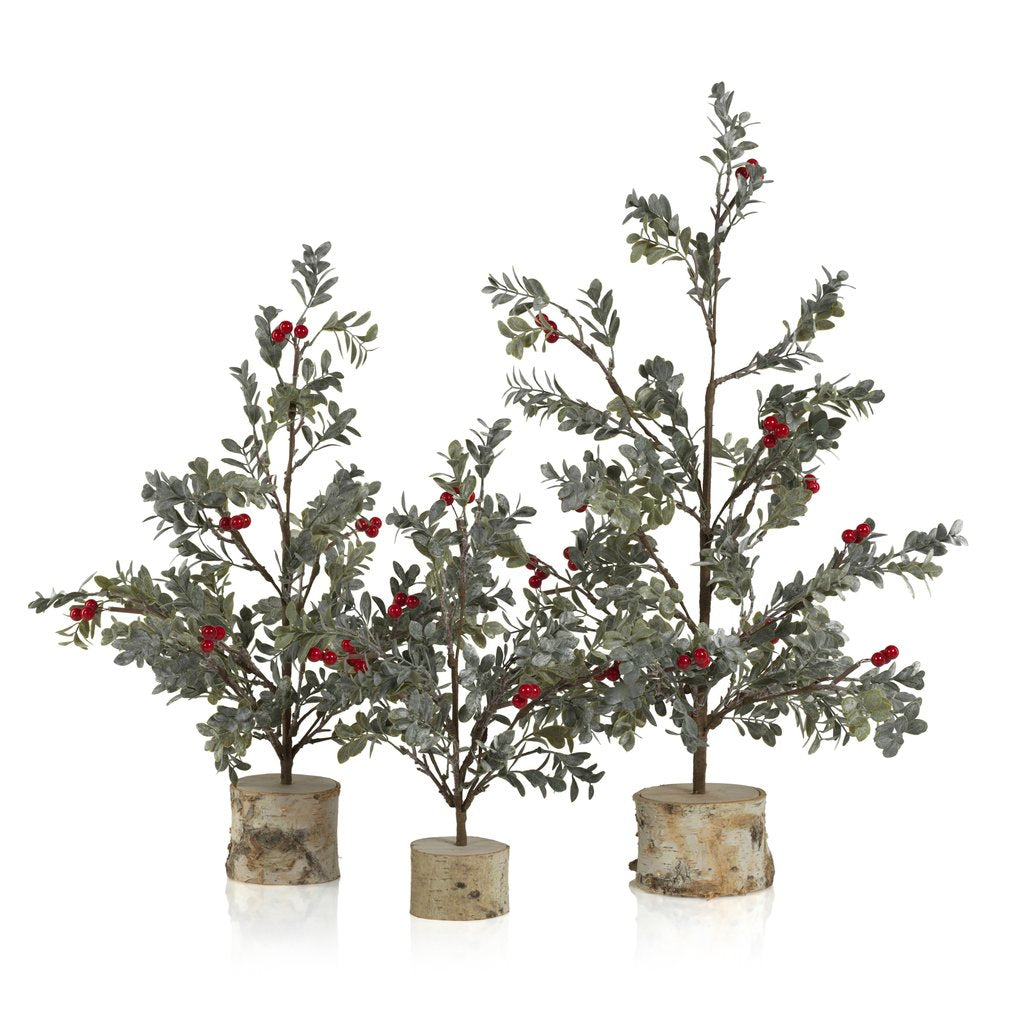 Frosted Mistletoe Tree w/Red Berries on Birch Base - Seasonal & Holiday Decorations by Carlyle Avenue