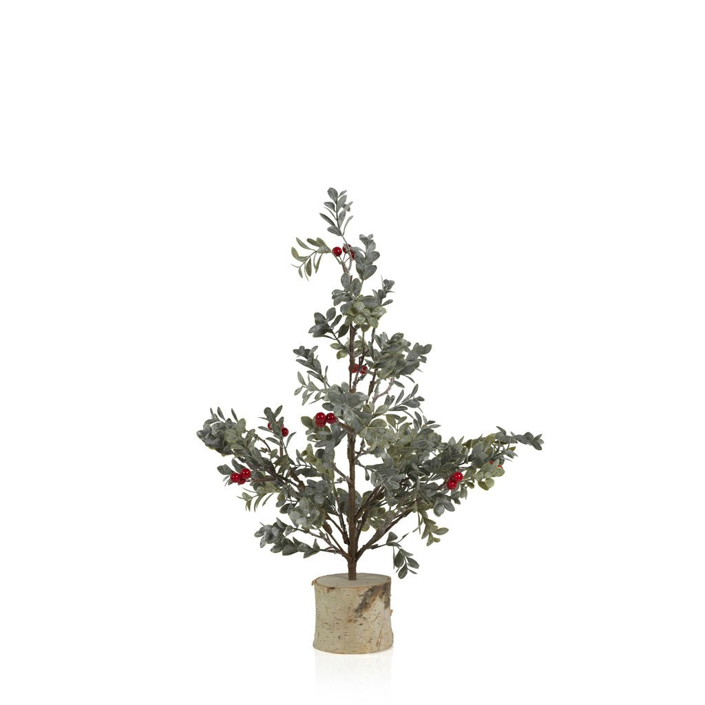 Frosted Mistletoe Tree w/Red Berries on Birch Base - Seasonal & Holiday Decorations by Carlyle Avenue