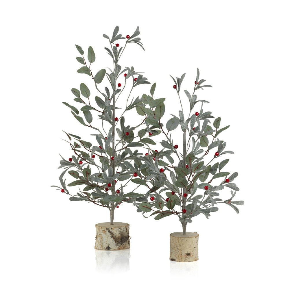 Frosted Eucalyptus Tree w/Red Berries on Birch Base - Seasonal & Holiday Decorations by Carlyle Avenue