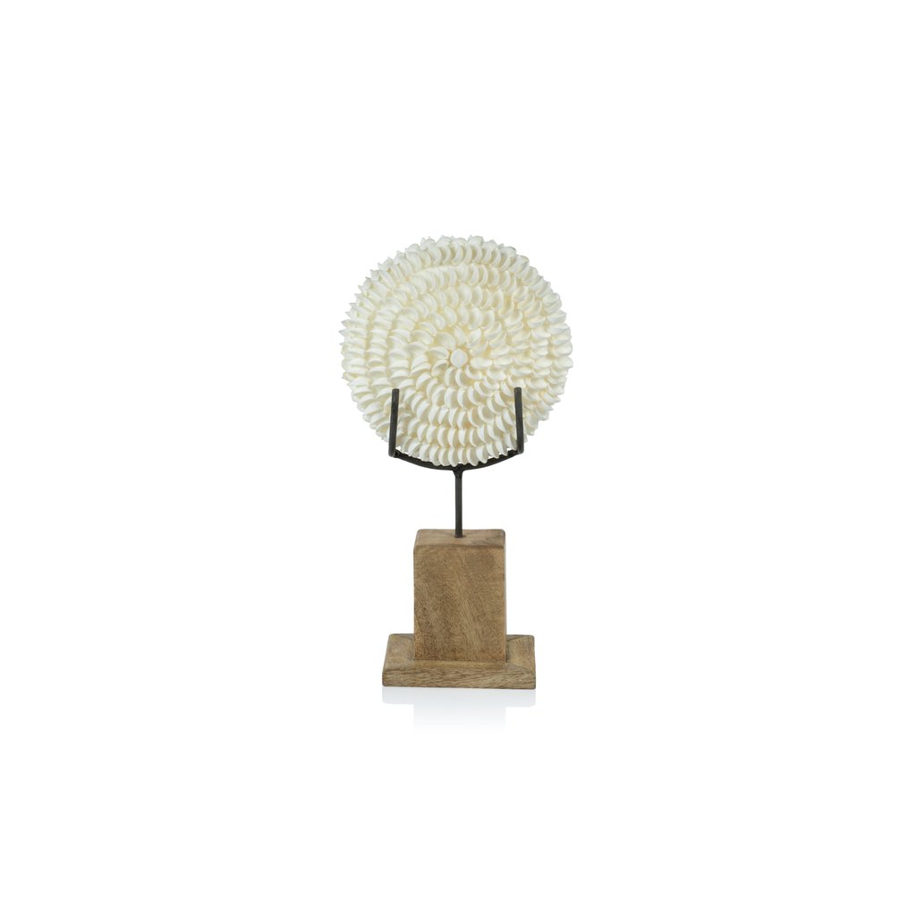 Natural Clamrose Sea Shells on Wood Stand - Decorative Accessories by Carlyle Avenue