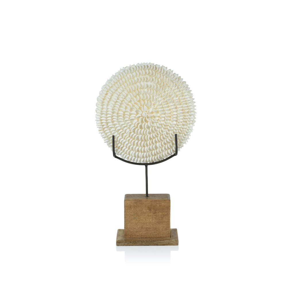 Natural Clamrose Sea Shells on Wood Stand - Decorative Accessories by Carlyle Avenue