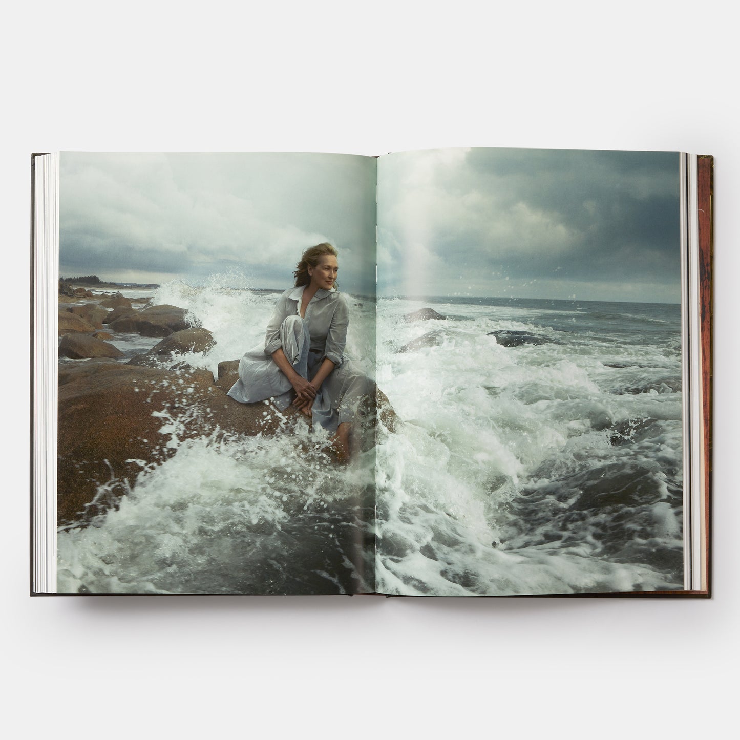 Annie Leibovitz: Portraits 2005-2016 - Books by Carlyle Avenue
