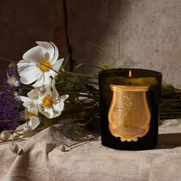 Trudon