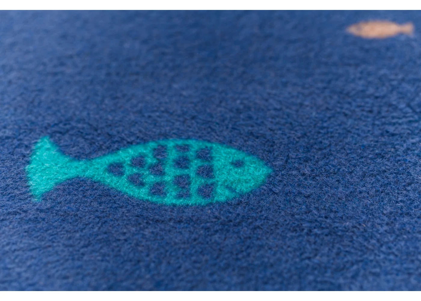 School of Fish Baby Blanket