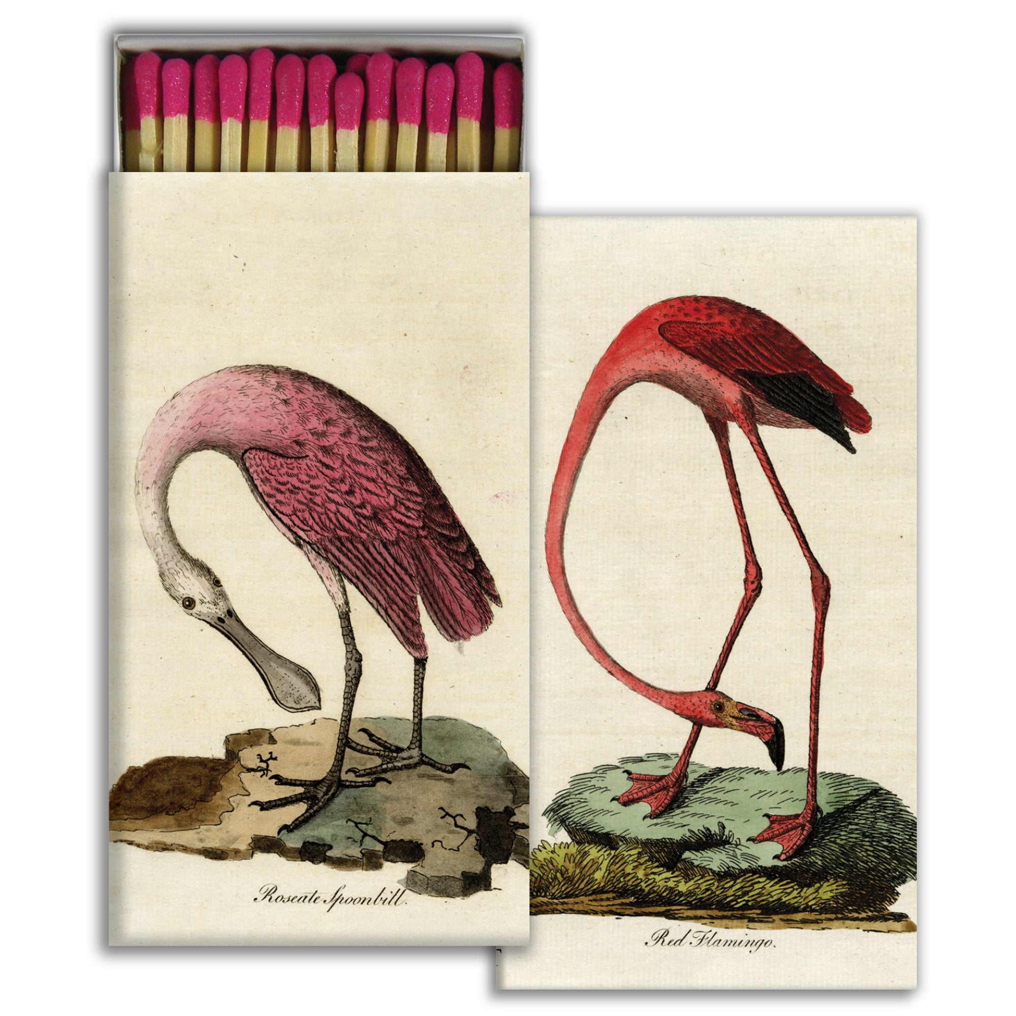 Matches - Flamingo & Spoonbill - Matches by Carlyle Avenue
