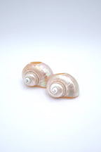 Seashell Napkin Rings, Set of 4 - Napkin Rings by Carlyle Avenue