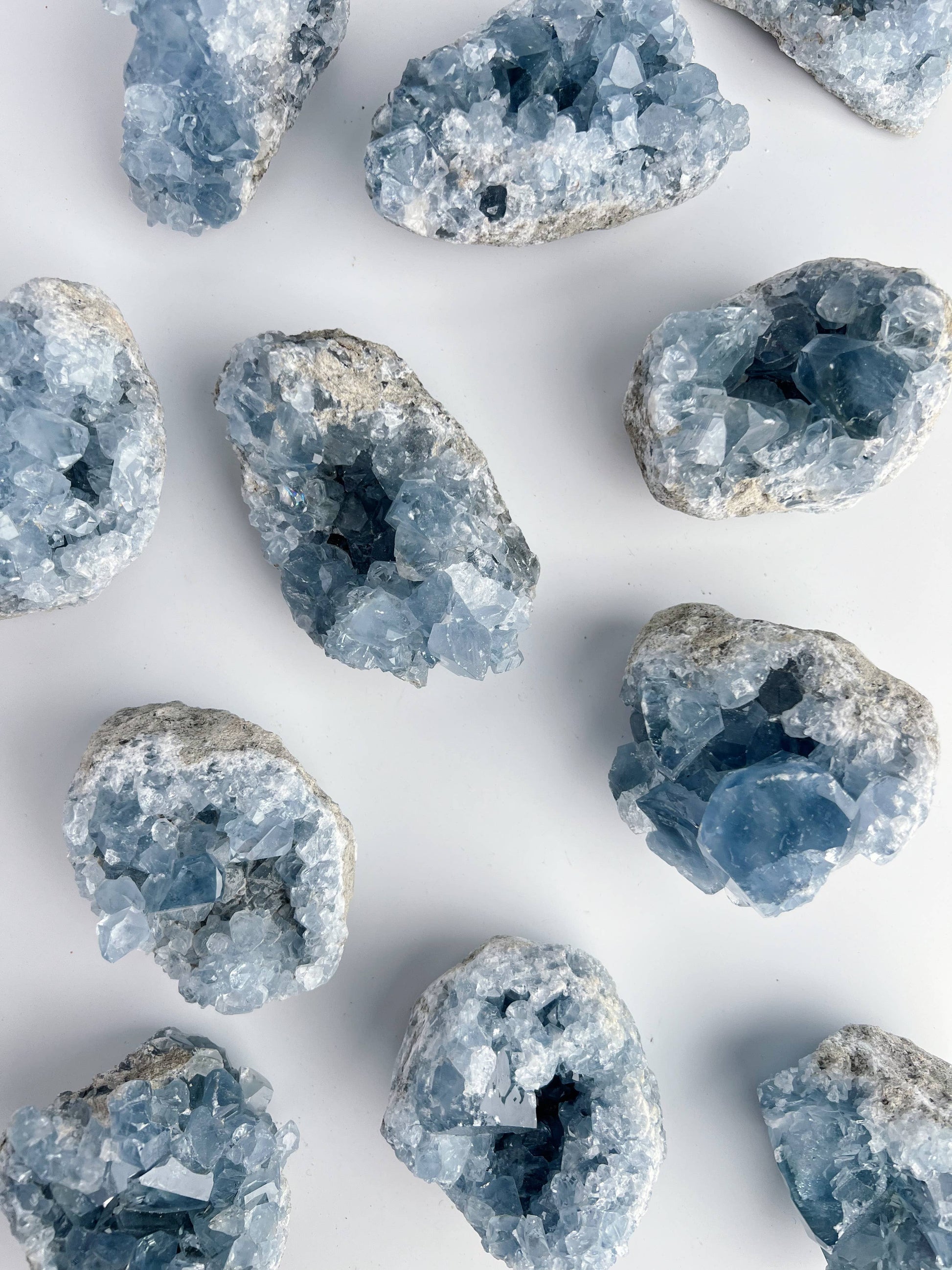 Blue Celestite Crystal Geodes - Small -  by Carlyle Avenue