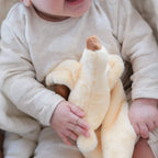 Duckling Lovey