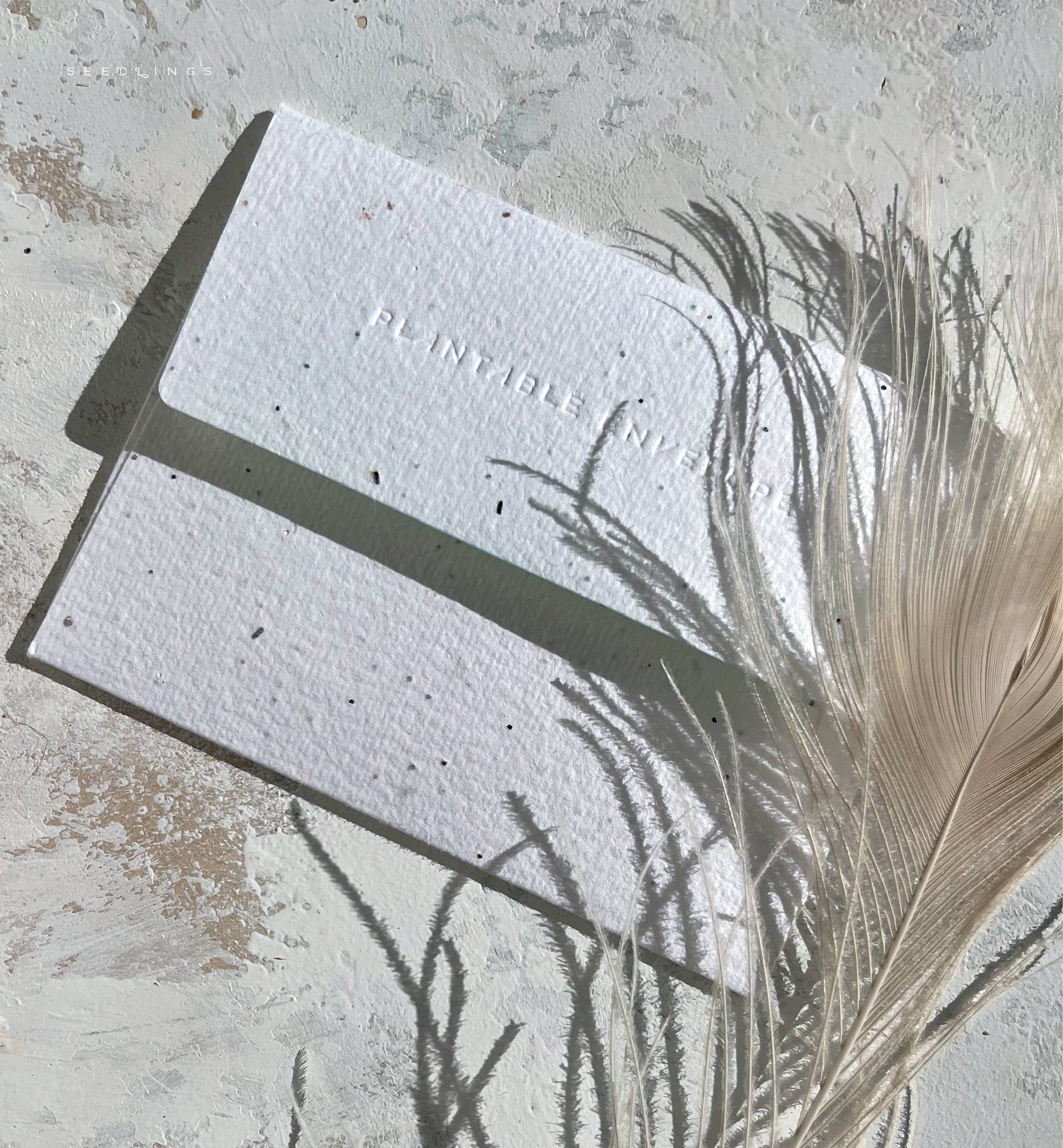 Abundance - Birthday Card -  by Carlyle Avenue