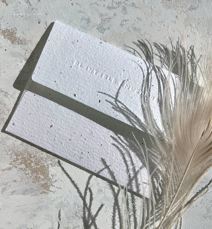 Beach Lovers - Wedding + Engagement Card -  by Carlyle Avenue