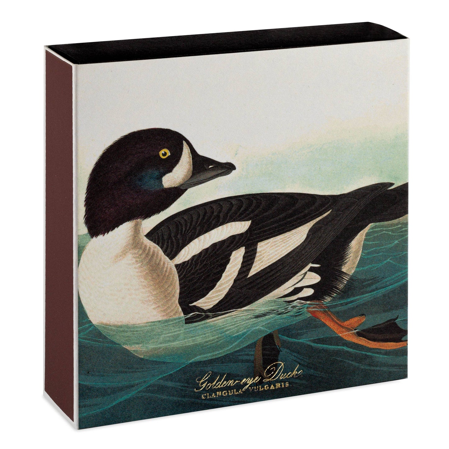 The Golden-eye Duck by Audubon  | Square - Safety Matches