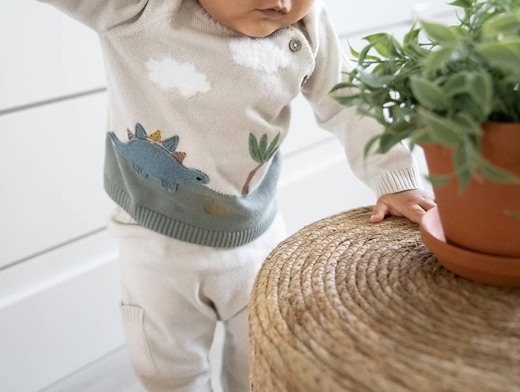 Dino Applique Button Baby Pullover Sweater (Organic): Stone / 6-12