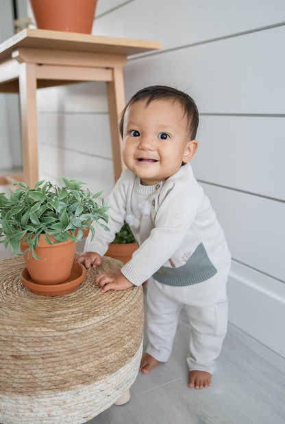 Dino Applique Button Baby Pullover Sweater (Organic) - Kids Clothing by Carlyle Avenue