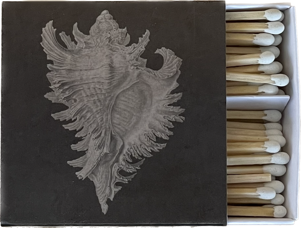 MOLLUSK - Matches by Carlyle Avenue