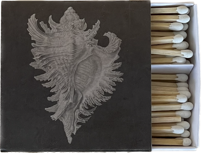 MOLLUSK - Matches by Carlyle Avenue