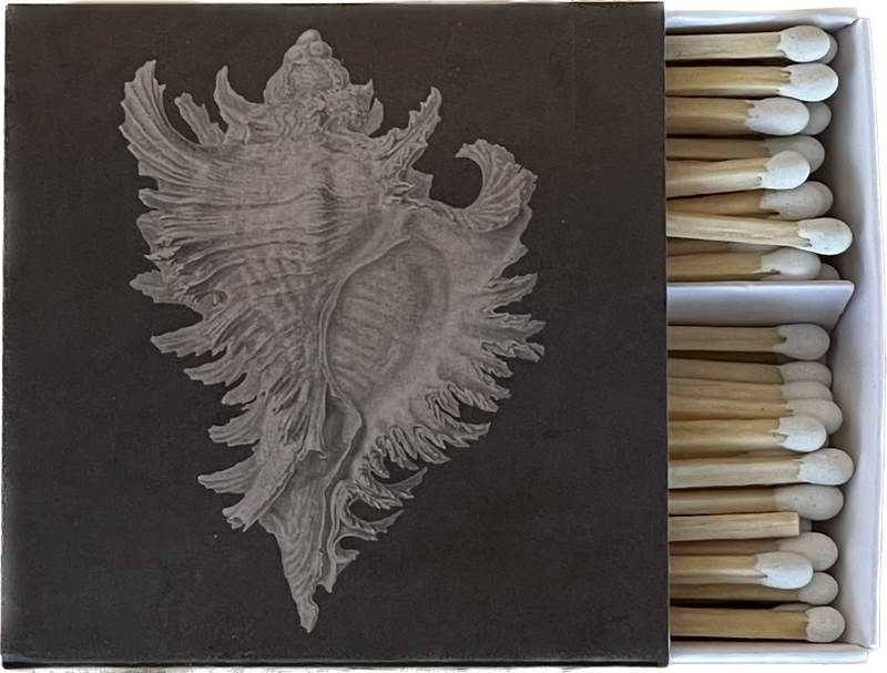 MOLLUSK - Matches by Carlyle Avenue