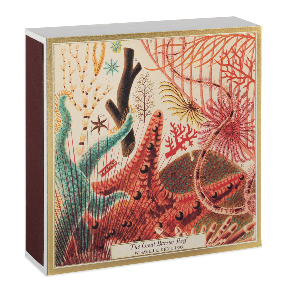 Great Barrier Reef | Square - Safety Matches matchbox featuring colorful graphic of underwater sea life and plants.