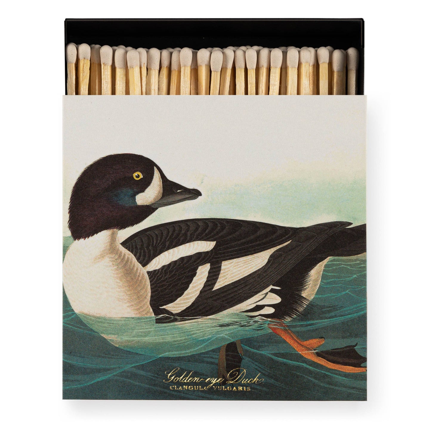 The Golden-eye Duck by Audubon  | Square - Safety Matches