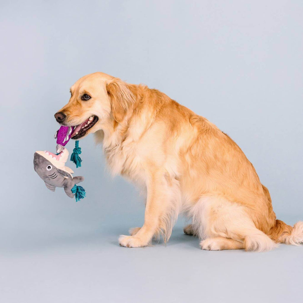SHARK BAIT PLUSH DOG TOY