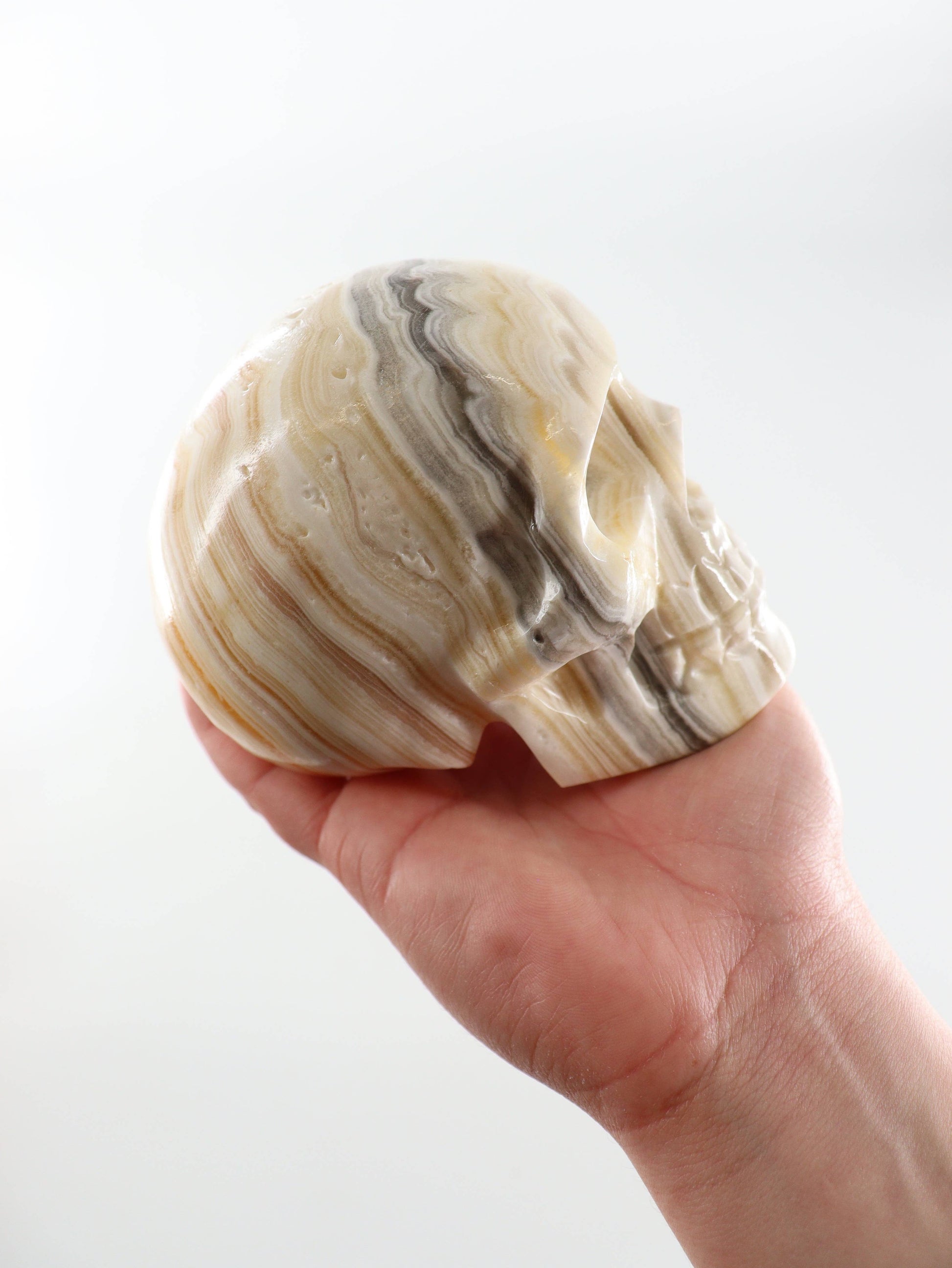 Onyx Skull -  by Carlyle Avenue
