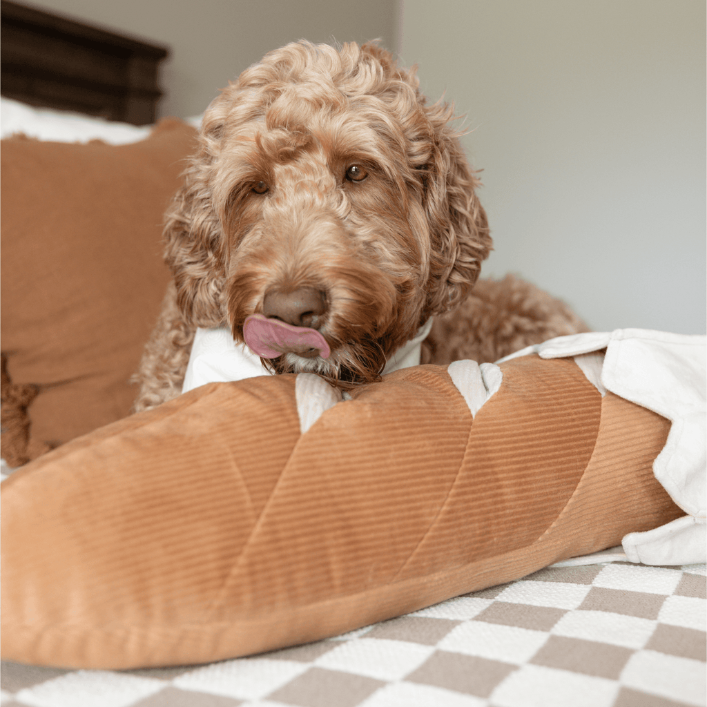 GIANT BAGUETTE//ENRICHMENT DOG TOY