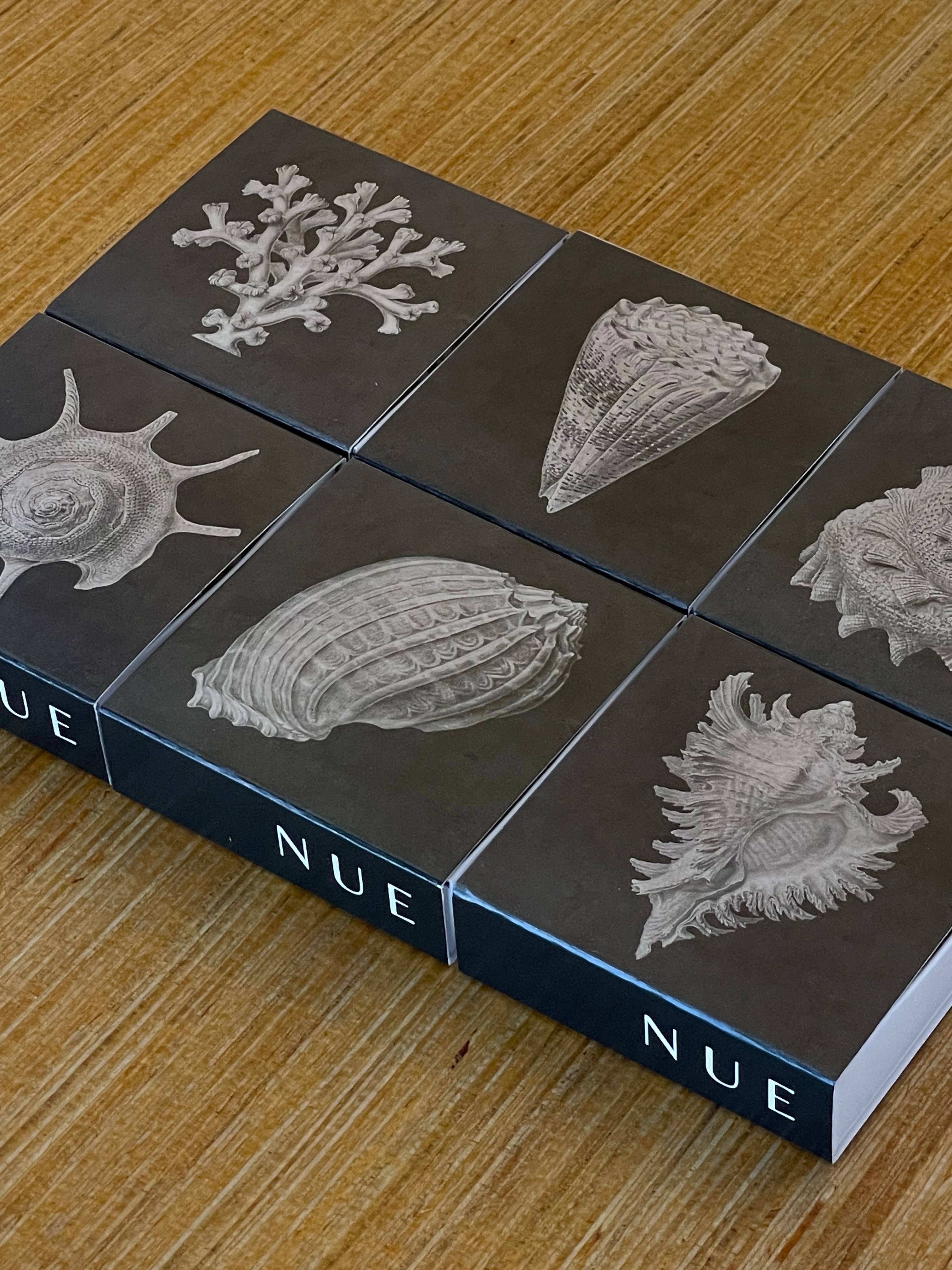 MOLLUSK - Matches by Carlyle Avenue