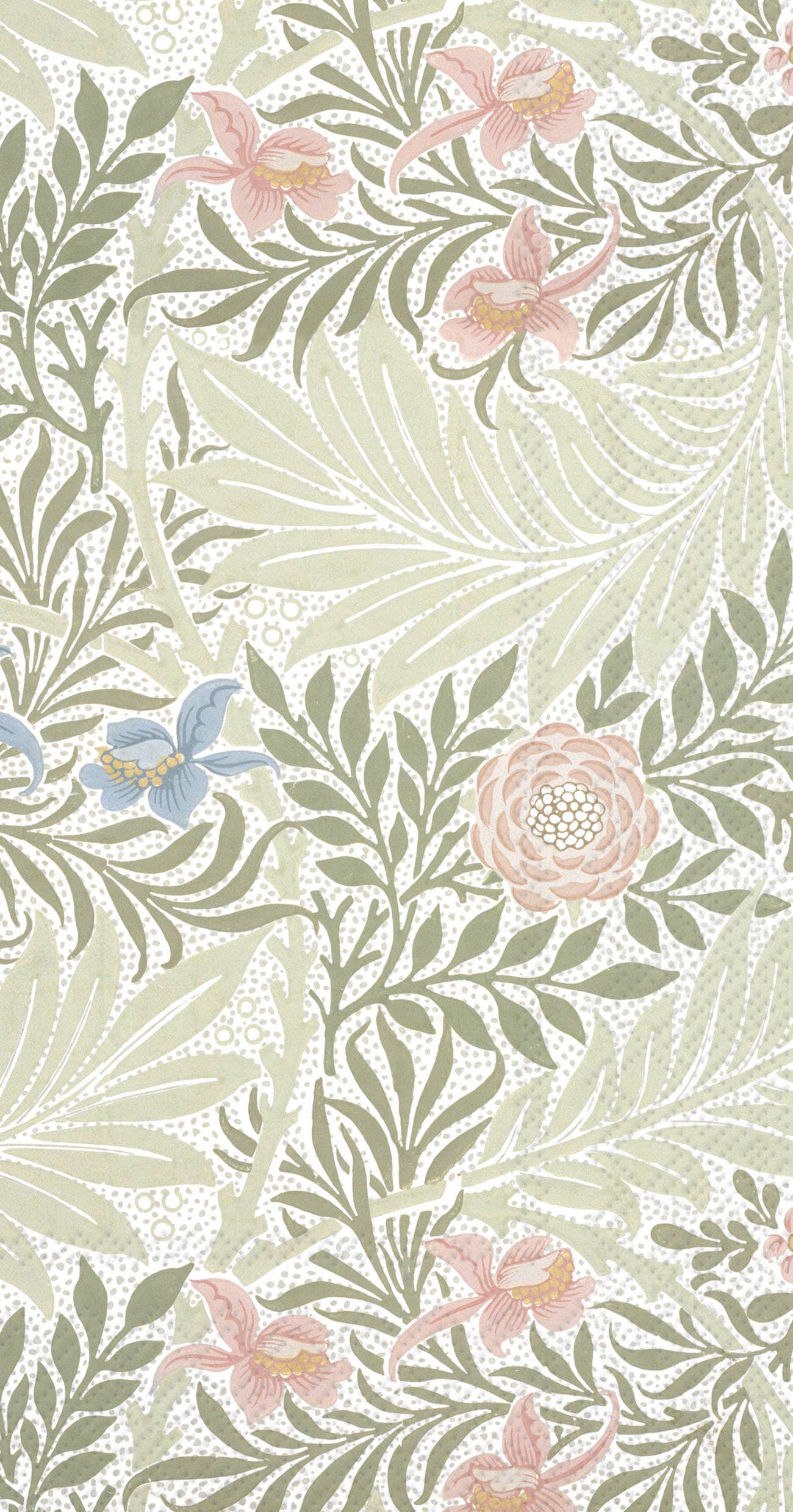 Paper Guest Towels - Napkins by Carlyle Avenue