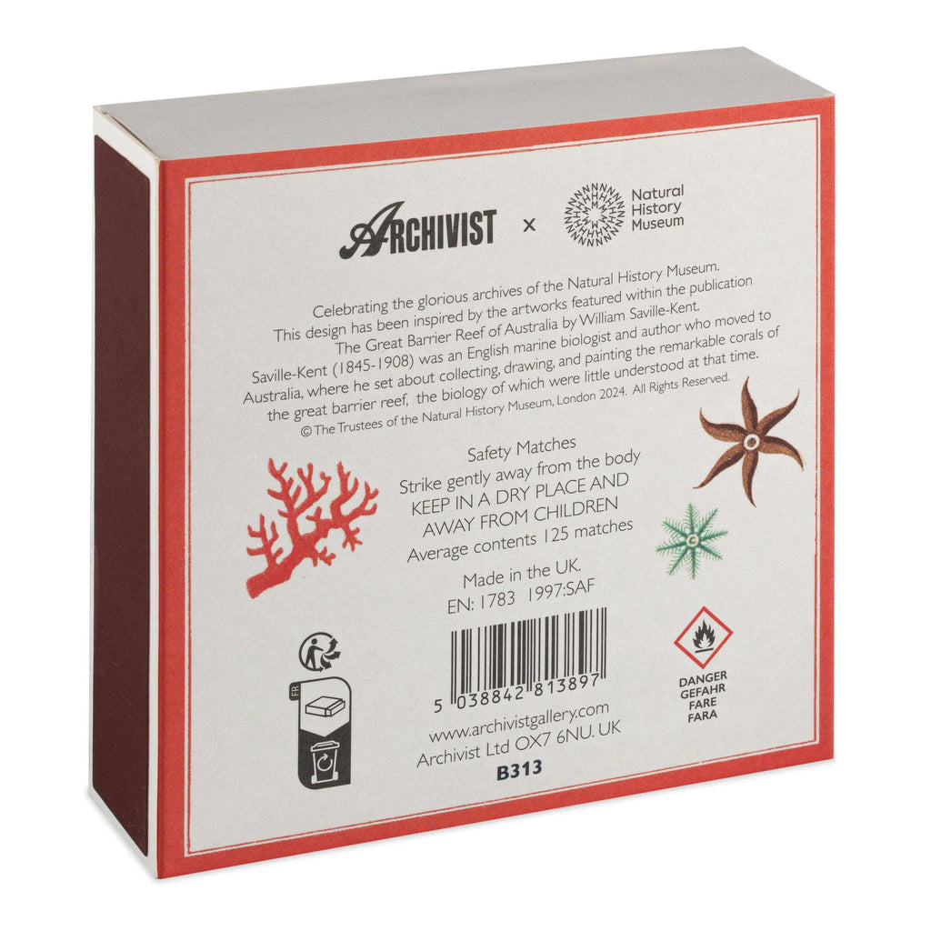 Great Barrier Reef | Square - Safety Matches packaging featuring coral and starfish illustrations.