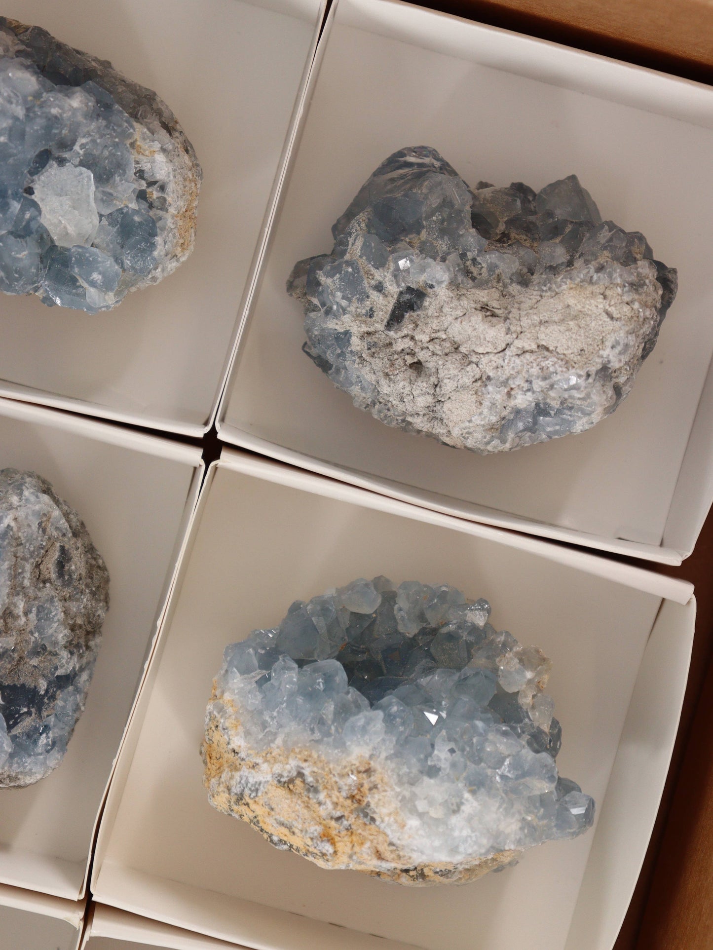 Celestite Clusters
