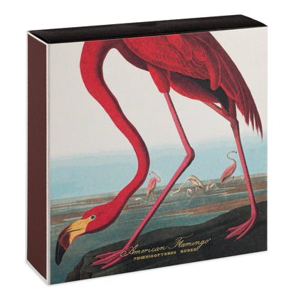 American Flamingo  | Square - Safety Matches