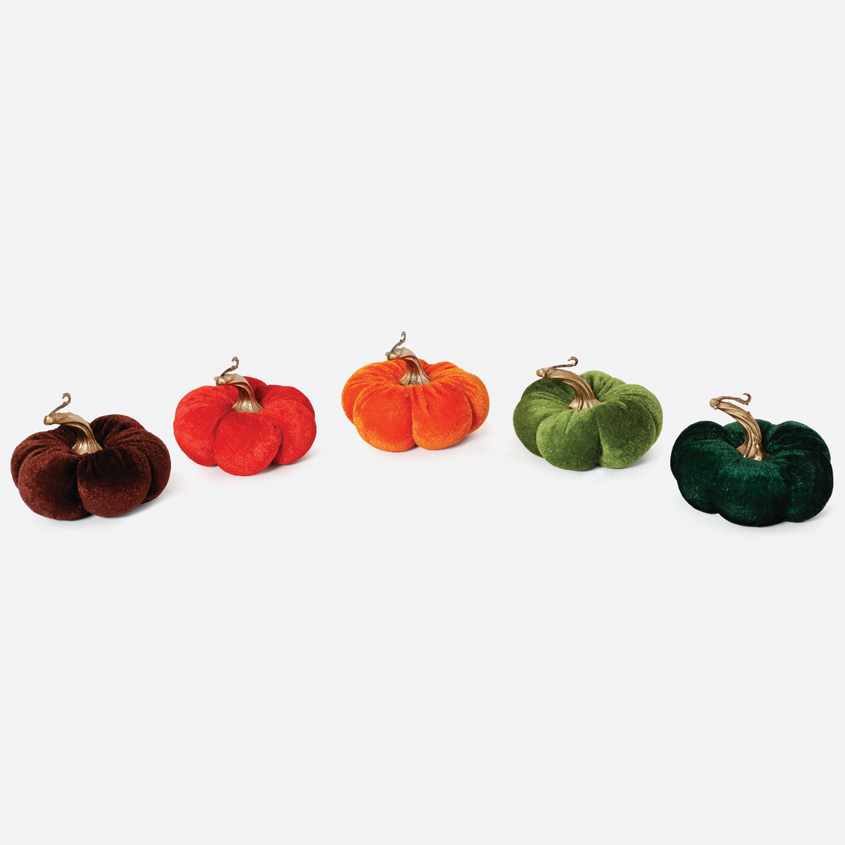 Green & Orange Pumpkins - Set of 5 Assorted