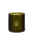 Roma Heirloom Tomato Candle - Home Fragrance by Carlyle Avenue